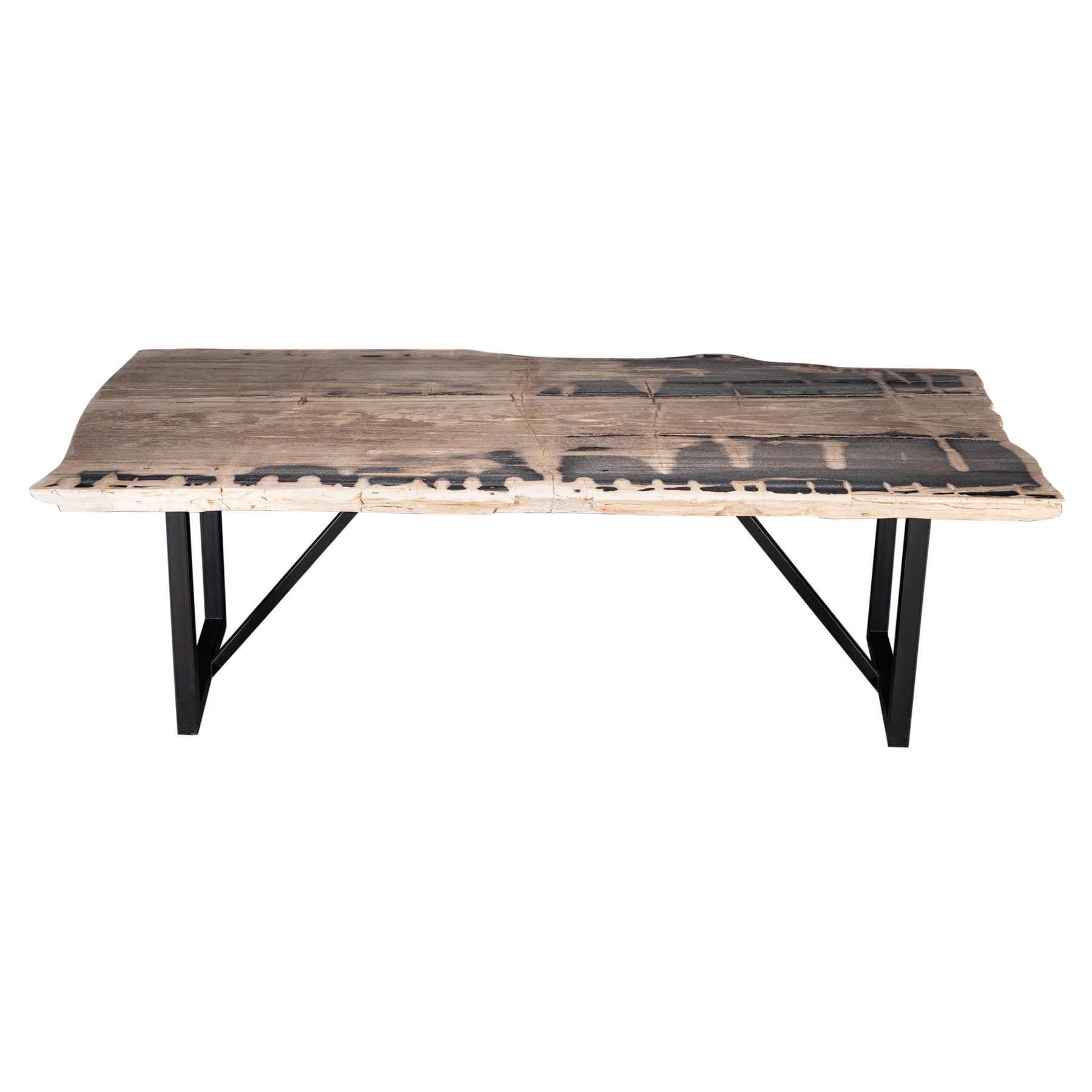 https://a.1stdibscdn.com/rectangular-petrified-wood-dinning-table-with-metal-base-for-sale/1121189/f_280570421648900546281/28057042_datamatics.jpg