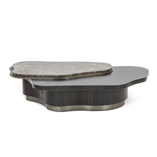 https://a.1stdibscdn.com/amorphous-ebony-coffee-table-with-layered-tops-in-brass-and-marble-for-sale-picture-2/f_27693/f_379975521705579361188/2_master.jpg