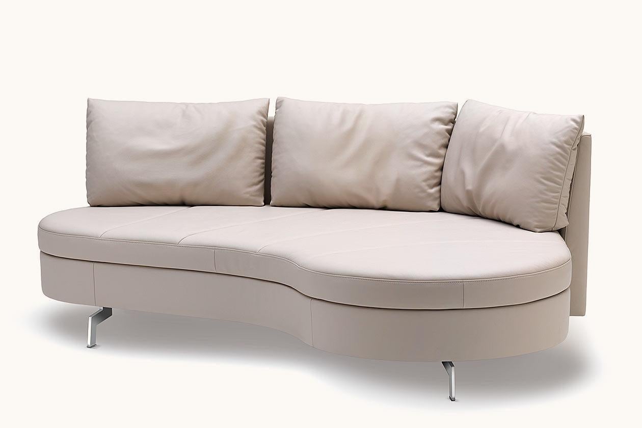 https://a.1stdibscdn.com/de-sede-ds-167-sofa-with-movable-backrest-in-perla-upholstery-by-hugo-de-ruiter-for-sale-picture-2/22569652/f_324038321674627766640/2_master.jpg