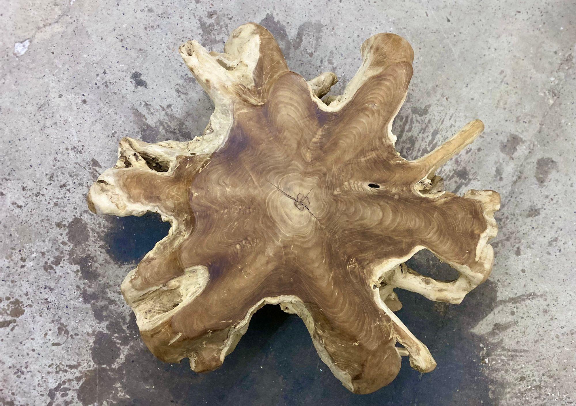 https://a.1stdibscdn.com/contemporary-wooden-teak-root-coffee-table-organic-modern-idn-2024-for-sale-picture-3/f_15532/f_472455021761654645363/2_mobilejpegupload_255cab5ecefd4a7cb161c4257b0fdb3b_org_xqvfc2yhdfzy1z6d_master.jpeg
