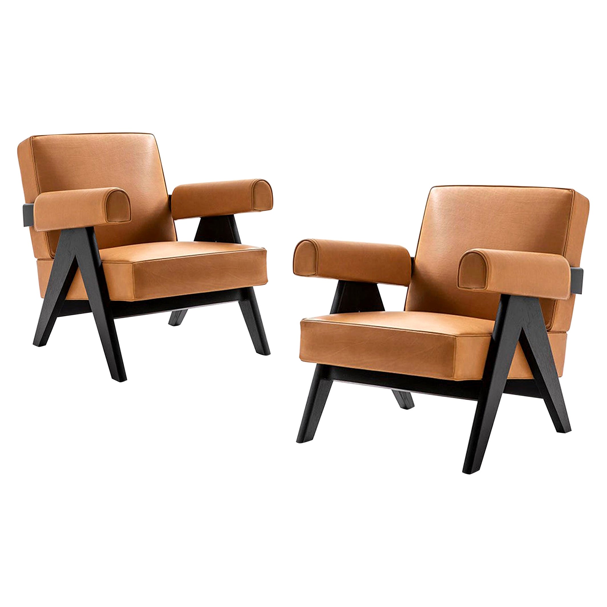 https://a.1stdibscdn.com/pierre-jeanneret-053-capitol-complex-armchair-by-cassina-for-sale/1121189/f_312975921668583378748/31297592_datamatics.jpg