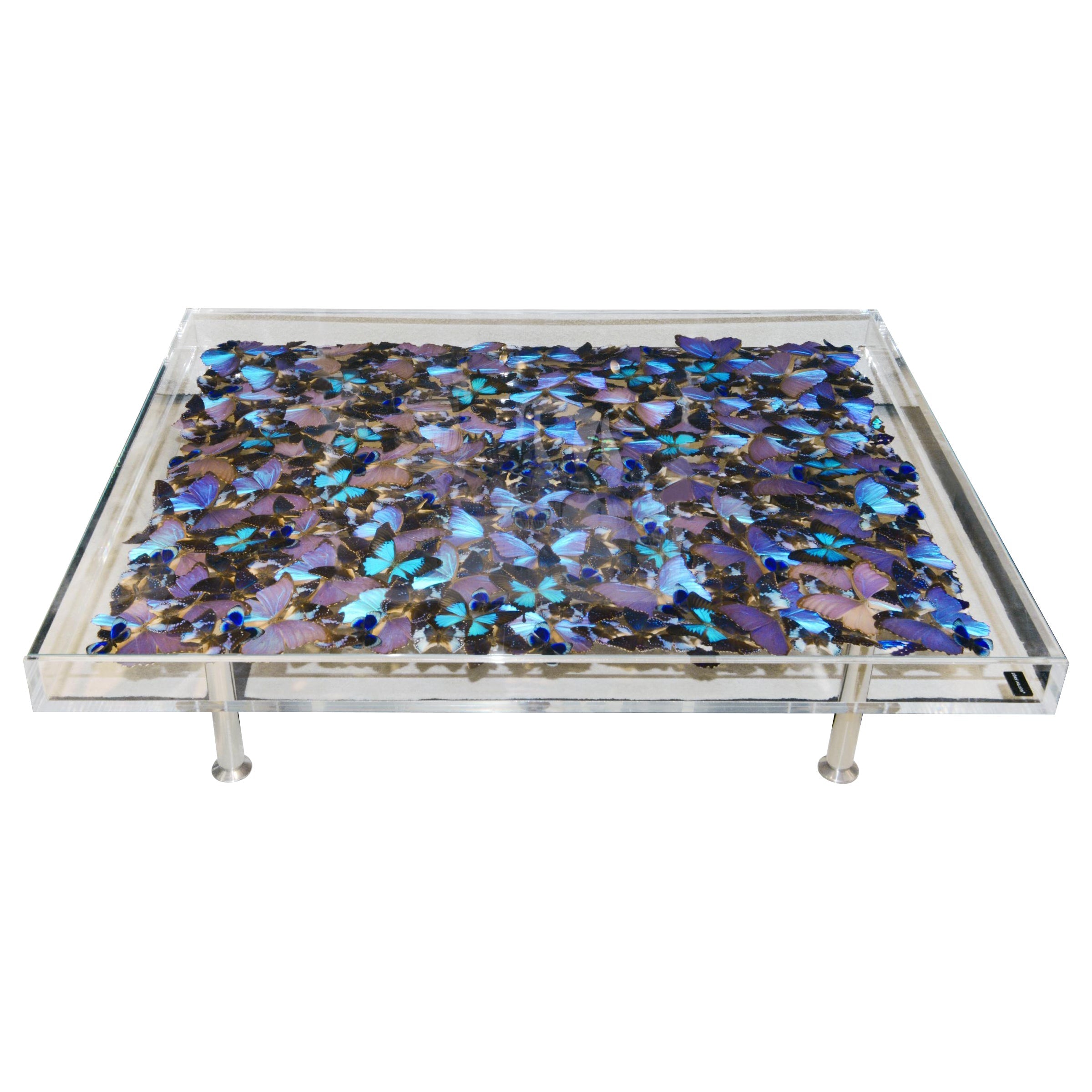 https://a.1stdibscdn.com/blue-butterflies-coffee-table-for-sale/1121189/f_323704021674833798575/32370402_datamatics.jpg