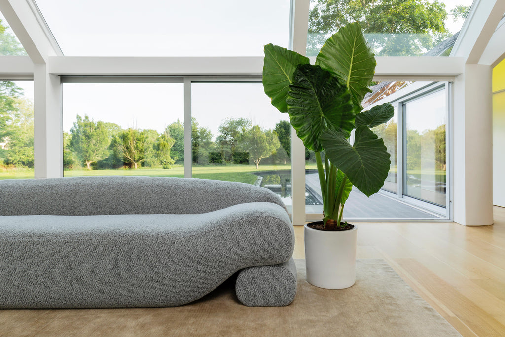 https://a.1stdibscdn.com/contemporary-eco-friendly-ergonomic-beanbag-beanie-sofa-with-integrated-daybeds-for-sale-picture-8/f_21743/f_148484921653062841814/353nea_house_interior_copy_master.jpg