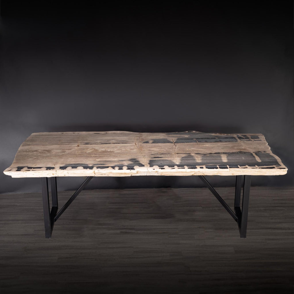 https://a.1stdibscdn.com/rectangular-petrified-wood-dinning-table-with-metal-base-for-sale-picture-2/f_25203/f_280570421648841870443/36_SPTP_203_21_1_master.jpg