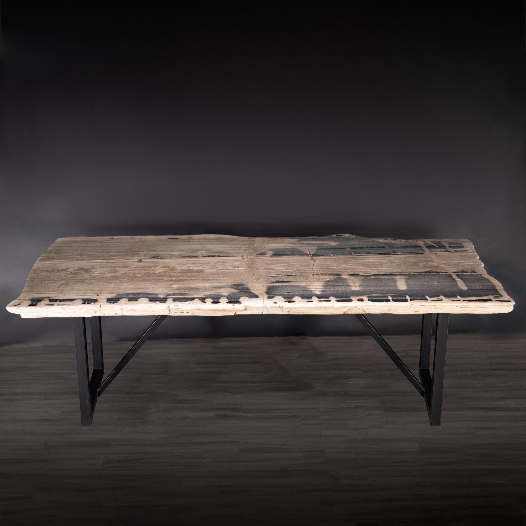 https://a.1stdibscdn.com/rectangular-petrified-wood-dinning-table-with-metal-base-for-sale-picture-2/f_25203/f_280570421648841870443/36_SPTP_203_21_1_master.jpg
