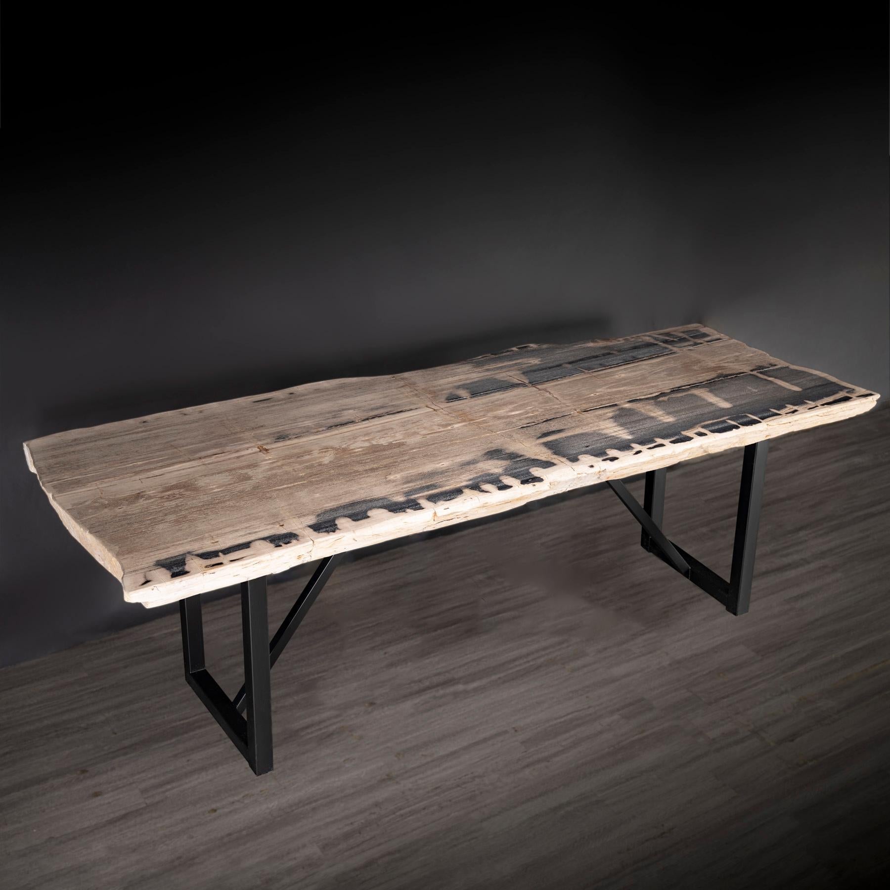 https://a.1stdibscdn.com/rectangular-petrified-wood-dinning-table-with-metal-base-for-sale-picture-3/f_25203/f_280570421648841870389/36_SPTP_203_21_2_master.jpg