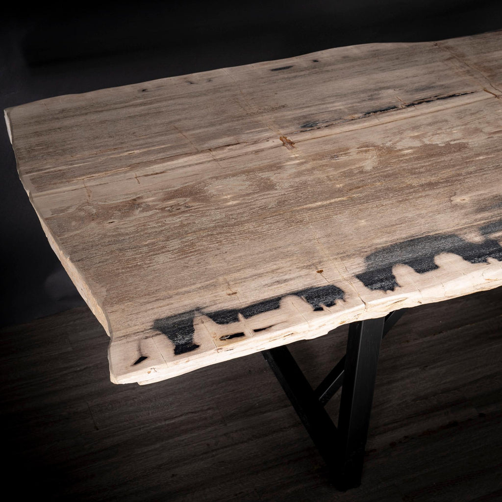 https://a.1stdibscdn.com/rectangular-petrified-wood-dinning-table-with-metal-base-for-sale-picture-5/f_25203/f_280570421648841870542/36_SPTP_203_21_4_master.jpg