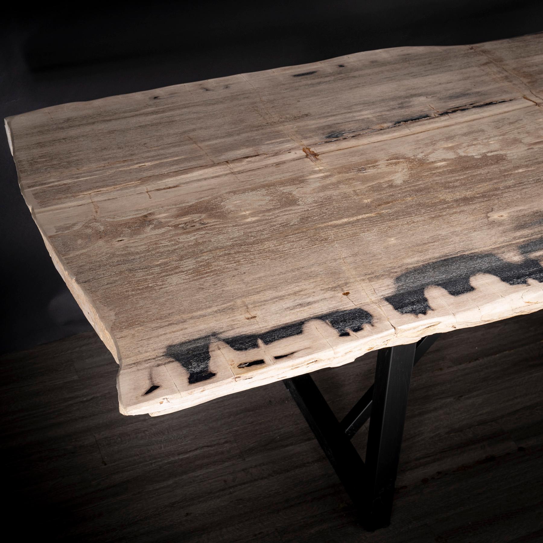 https://a.1stdibscdn.com/rectangular-petrified-wood-dinning-table-with-metal-base-for-sale-picture-5/f_25203/f_280570421648841870542/36_SPTP_203_21_4_master.jpg