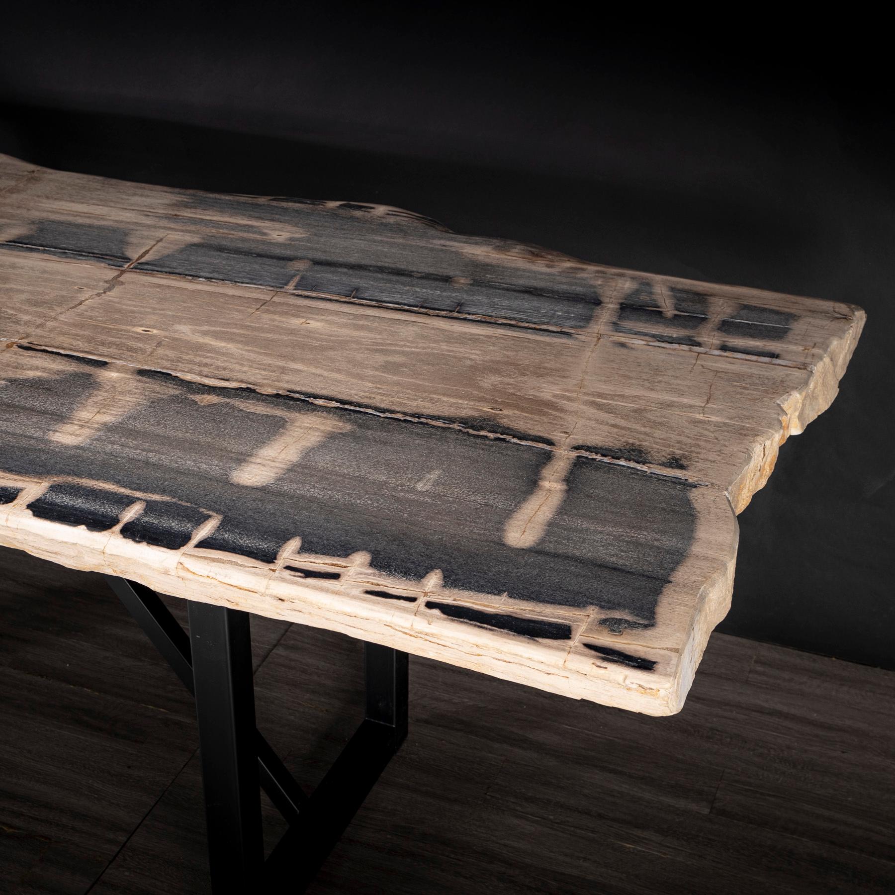 https://a.1stdibscdn.com/rectangular-petrified-wood-dinning-table-with-metal-base-for-sale-picture-6/f_25203/f_280570421648841870539/36_SPTP_203_21_5_master.jpg