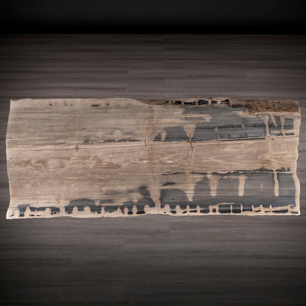 https://a.1stdibscdn.com/rectangular-petrified-wood-dinning-table-with-metal-base-for-sale-picture-7/f_25203/f_280570421648841870529/36_SPTP_203_21_6_master.jpg