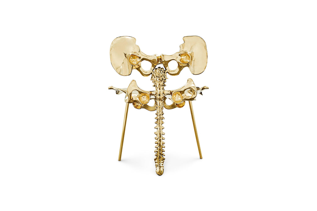 https://a.1stdibscdn.com/33-step-chair-large-polished-brass-bone-chair-by-zhipeng-tan-for-sale-picture-3/22569652/f_222862621611736473938/3_master.jpg