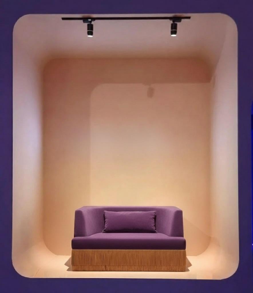 https://a.1stdibscdn.com/alcove-linear-sofa-in-alpaca-velvet-with-fringe-skirt-sidani-design-for-sale-picture-5/f_27693/f_466552821757849708338/3_master.jpg