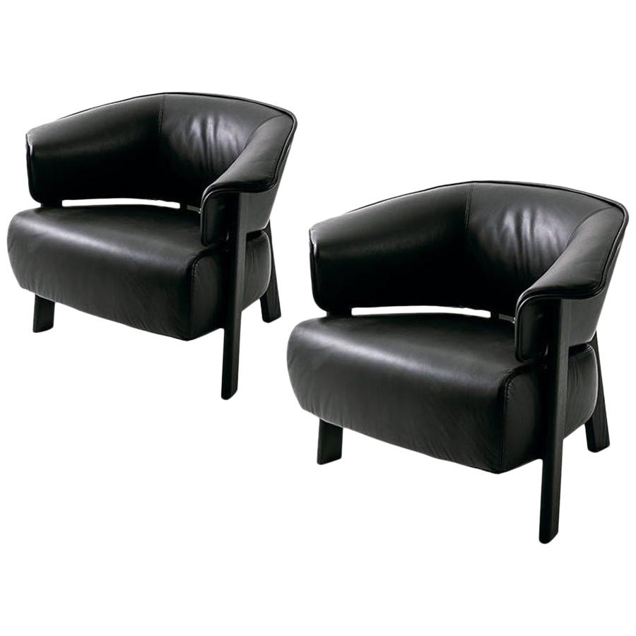 https://a.1stdibscdn.com/set-of-two-back-wing-armchair-by-patricia-urquiola-for-sale/1121189/f_435520921739453005474/43552092_datamatics.jpg