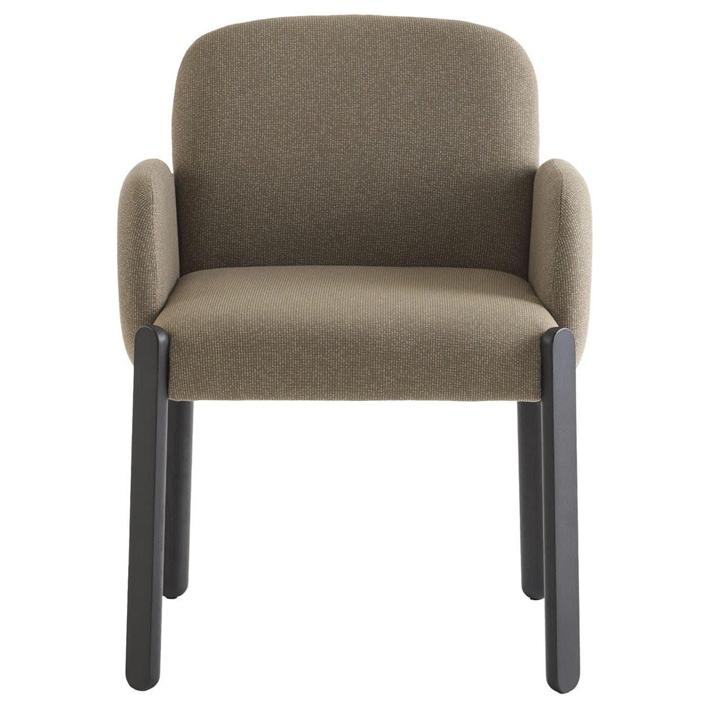 https://a.1stdibscdn.com/baba-soft-brown-armchair-by-emilio-nanni-for-sale/1121189/f_460783721754063380412/46078372_datamatics.jpg