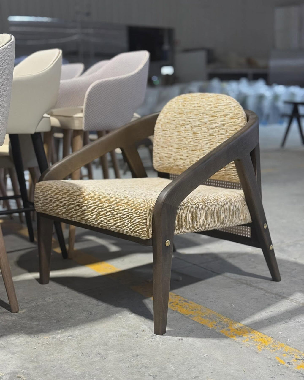 https://a.1stdibscdn.com/mid-century-style-cane-armchair-ottoman-in-beige-velvet-walnut-frame-for-sale-picture-4/f_27693/f_454197321749691688250/469833974_18116436607419507_5073301522000150239_n_master.jpg