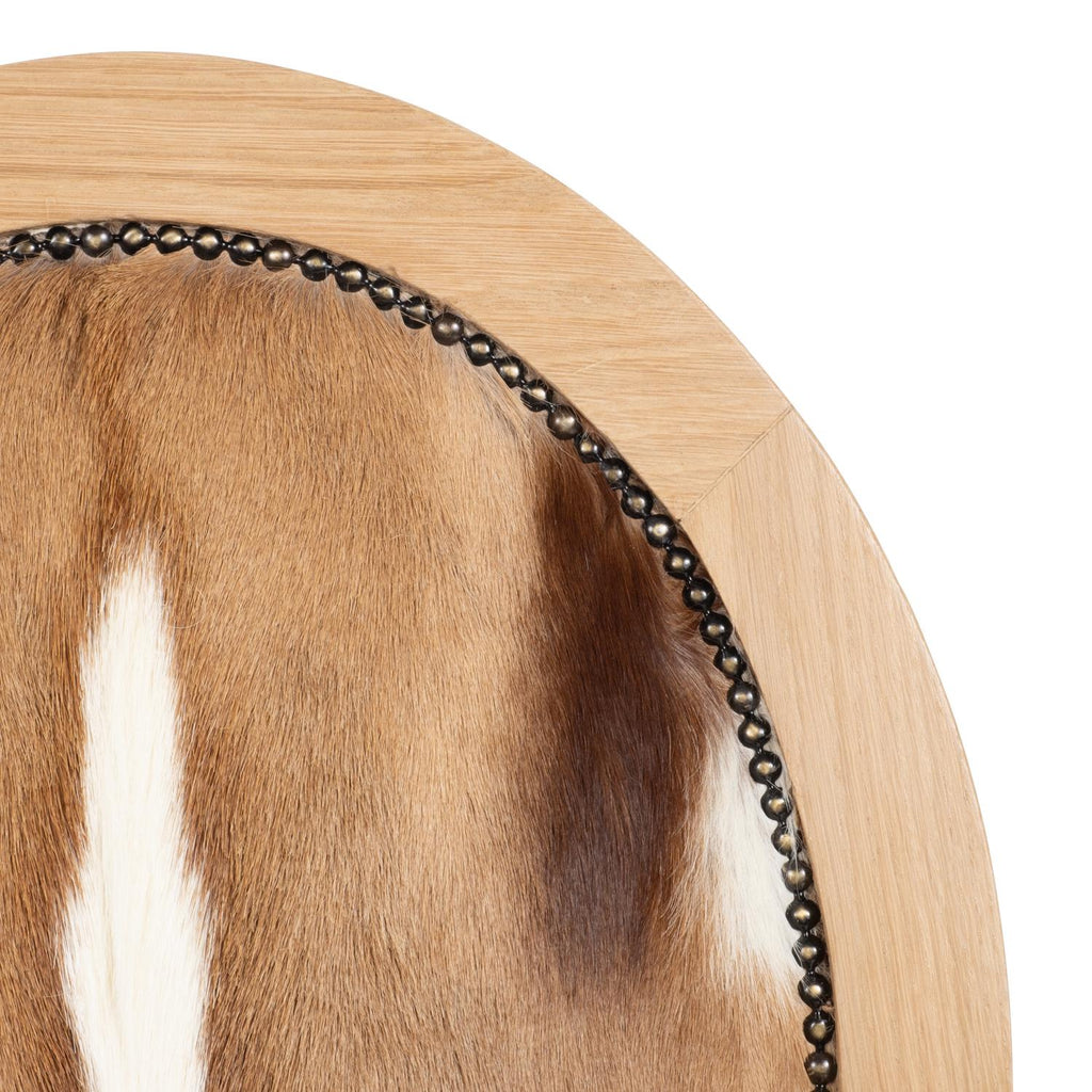https://a.1stdibscdn.com/chair-springbok-hide-manhattan-for-sale-picture-2/f_67102/f_346157721685986107911/4984_Ngala060222_551_master.jpg