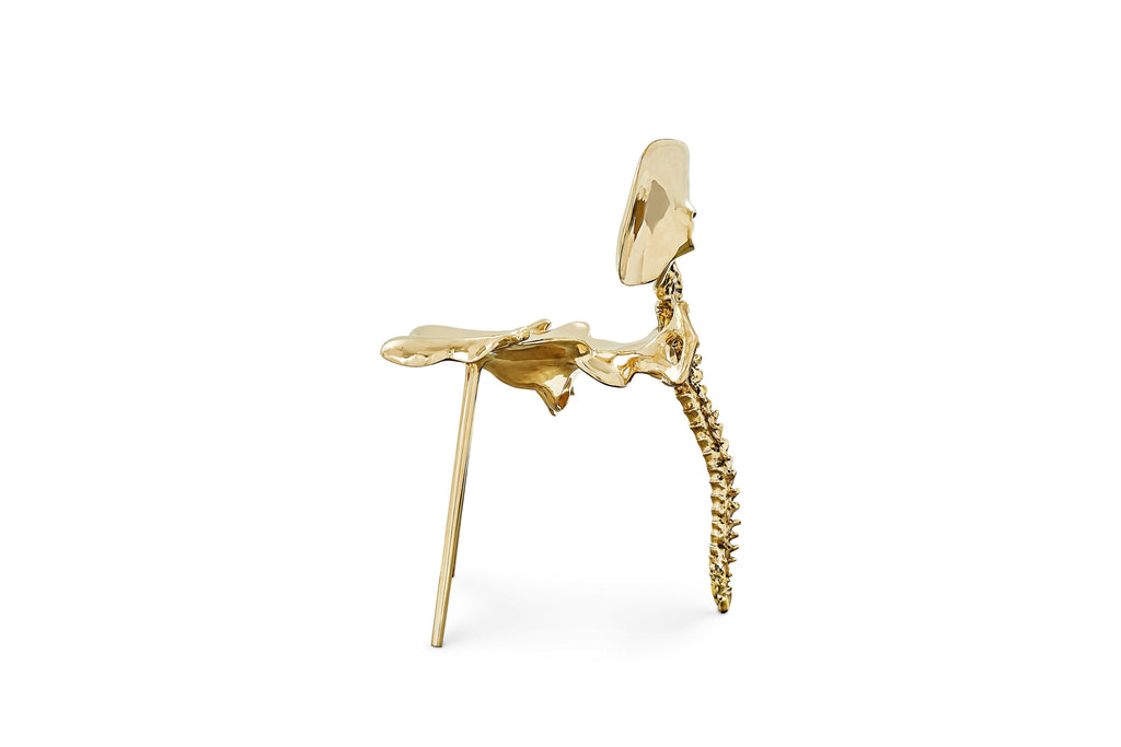 https://a.1stdibscdn.com/33-step-chair-large-polished-brass-bone-chair-by-zhipeng-tan-for-sale-picture-4/22569652/f_222862621611736475052/4_master.jpg