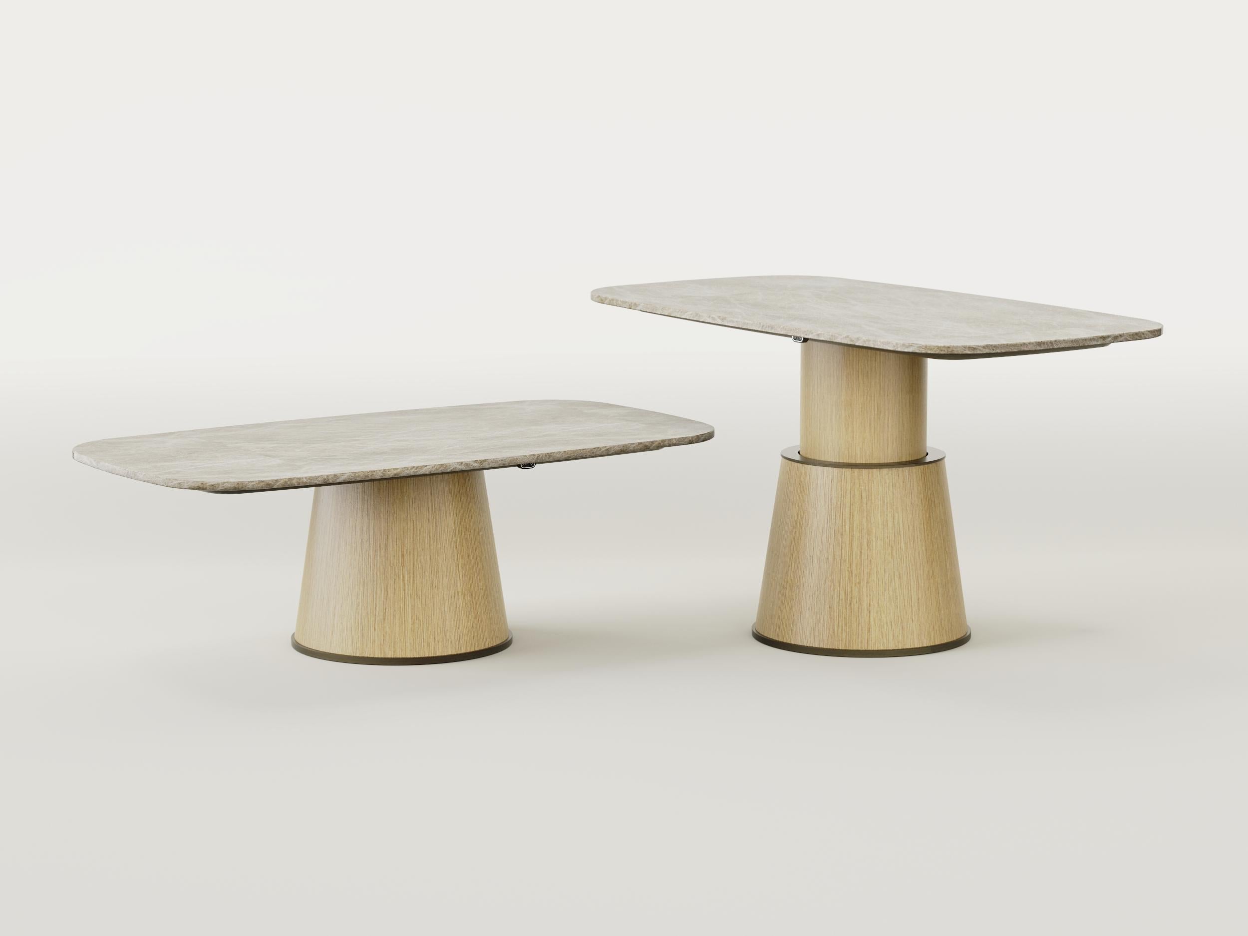 https://a.1stdibscdn.com/smart-table-modern-electronic-height-adjustable-taj-mahal-and-wood-table-for-sale-picture-2/f_86472/f_460864121753950045846/4_master.jpg