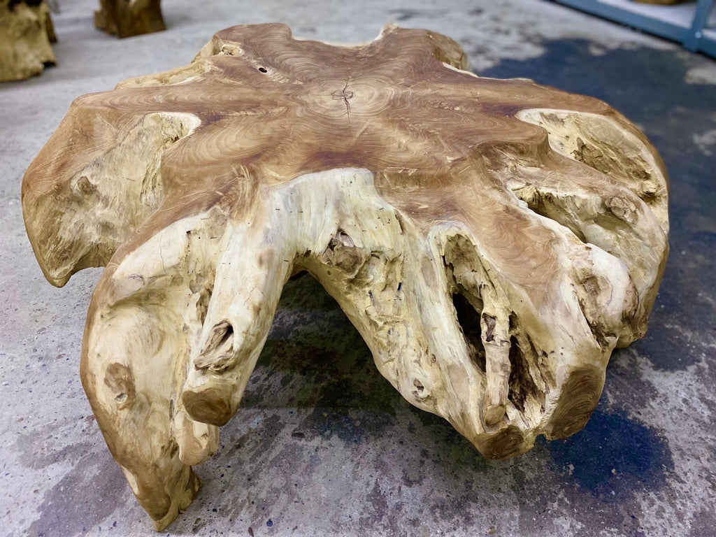 https://a.1stdibscdn.com/contemporary-wooden-teak-root-coffee-table-organic-modern-idn-2024-for-sale-picture-5/f_15532/f_472455021761654645761/4_mobilejpegupload_60eb0505100c472d93852f15b3c47e2a_org_fnkzgofod6kizvxd_master.jpeg