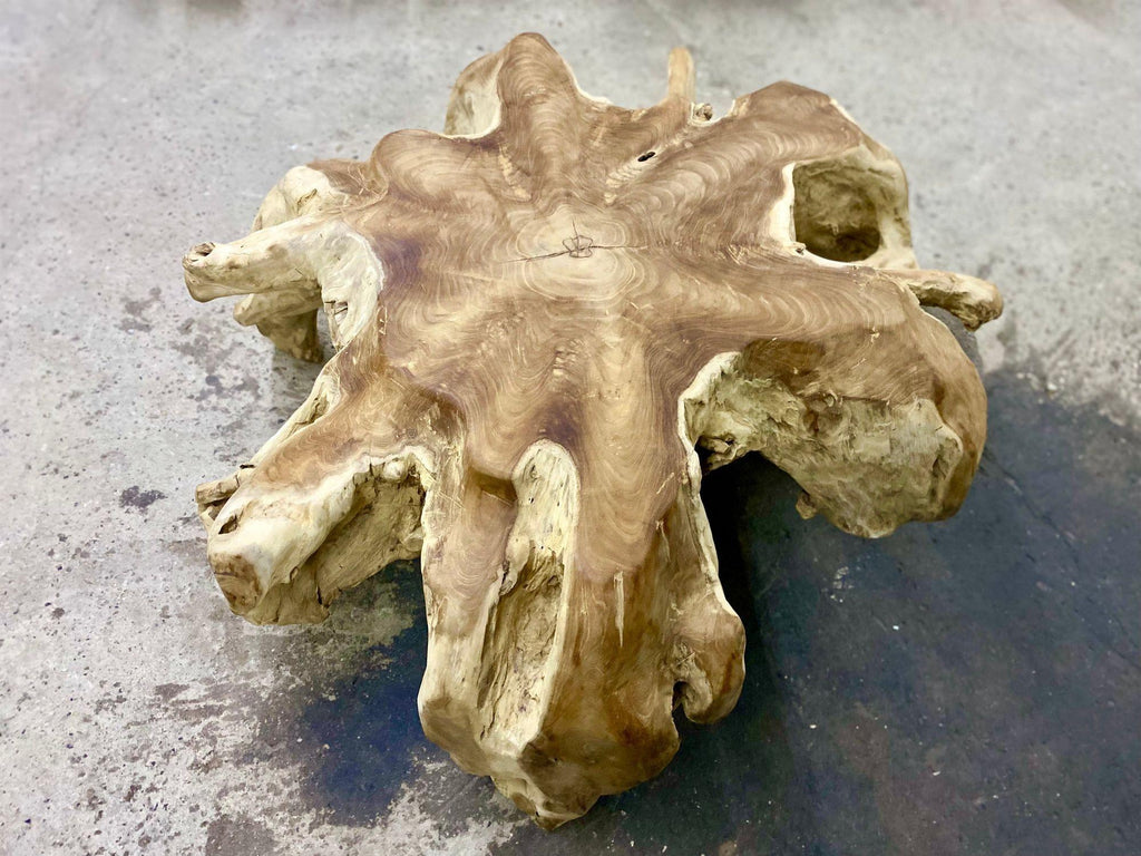 https://a.1stdibscdn.com/contemporary-wooden-teak-root-coffee-table-organic-modern-idn-2024-for-sale-picture-6/f_15532/f_472455021761654645757/5_mobilejpegupload_3a610dd900d3464987349be9a5dc9e6a_org_j0p2ub5kjgpjhc7y_master.jpeg