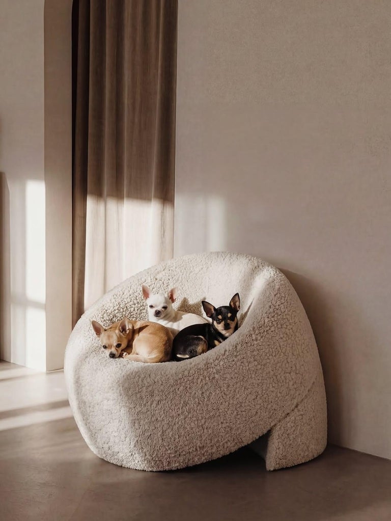 https://a.1stdibscdn.com/armchair-designer-furniture-lounge-chair-for-commercial-space-sumo-for-sale-picture-13/f_63402/f_490077021772205301118/About_ten_years_ago_when_I_was_just_starting_my_journey_as_a_furniture_and_industrial_designer_3__master.jpg?width=768