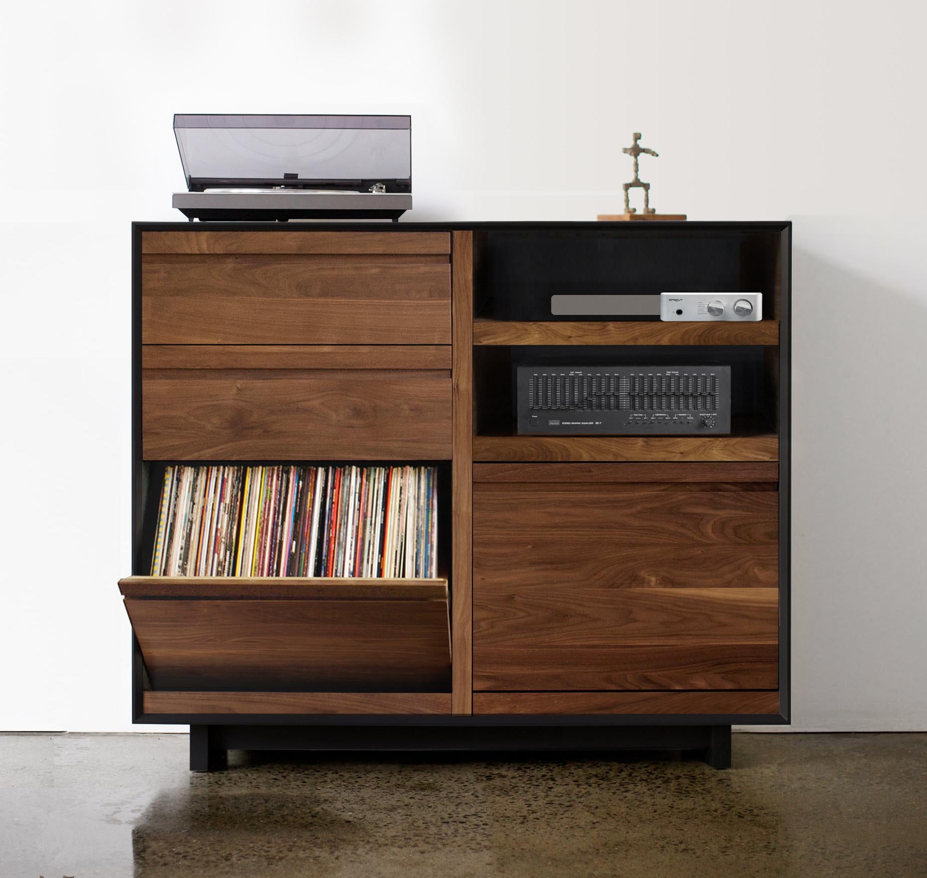 https://a.1stdibscdn.com/modern-double-lp-storage-cabinet-for-sale-picture-4/f_27523/f_77857331566312402532/Aero_51_inch_doubleLPLP_DDAR_master.jpg