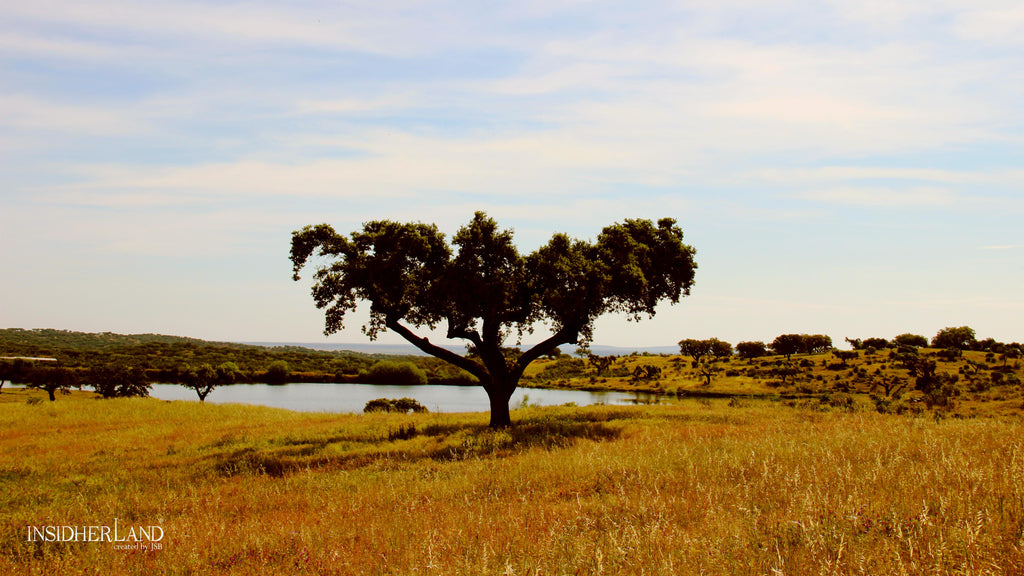 https://a.1stdibscdn.com/alentejo-side-table-portoro-namibia-insidherland-by-joana-santos-barbosa-for-sale-picture-6/f_53652/f_298438921659528024863/Alentejo_00_InsidherLand_master.jpg