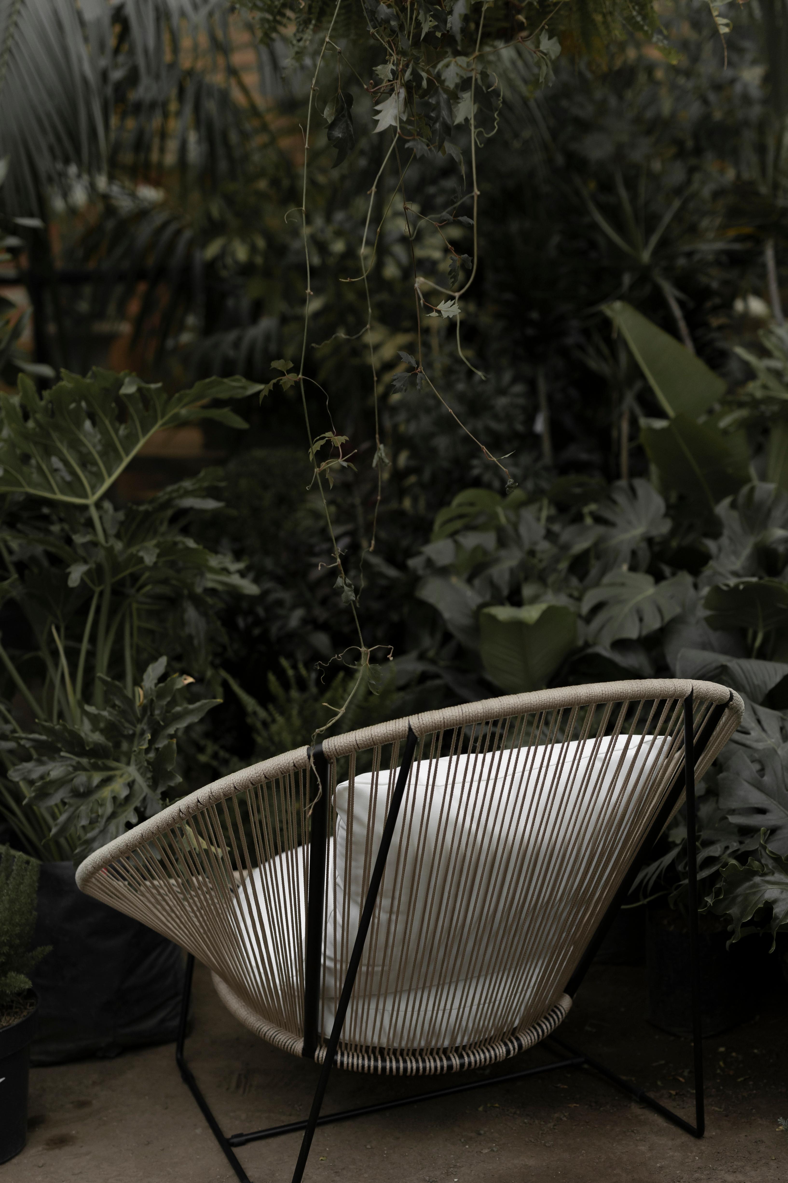 https://a.1stdibscdn.com/arena-armchair-for-sale-picture-2/f_47391/f_152269511561494677696/COTIDIANO_138_1__master.jpg