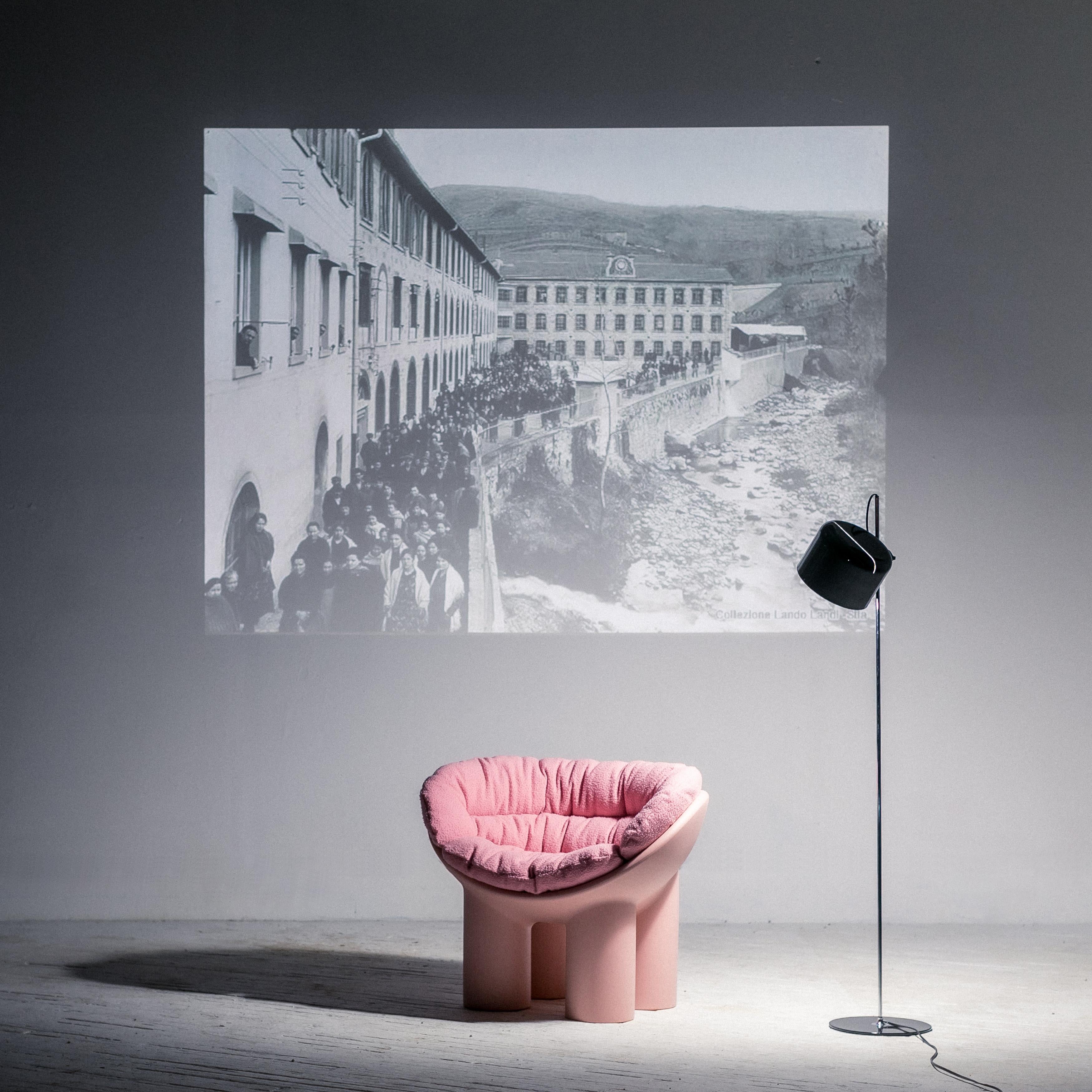 https://a.1stdibscdn.com/roly-poly-x-casentino-armchair-in-pink-with-cushion-by-faye-toogood-for-sale-picture-3/f_16392/f_219829721609629100390/CR_20201206_2054_master.jpg