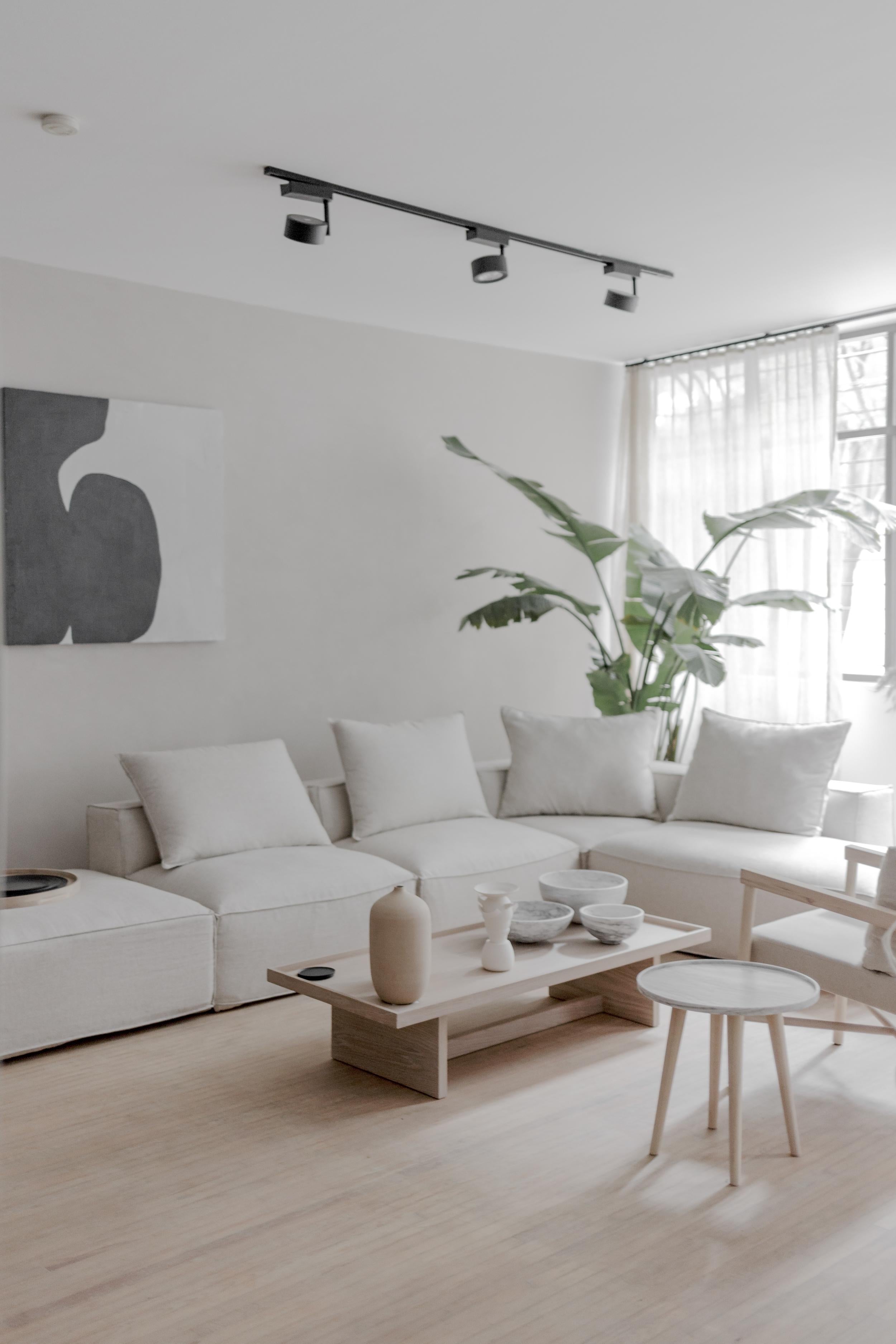 https://a.1stdibscdn.com/batea-ash-veneer-coffee-table-for-sale-picture-4/f_47391/f_177466621588802018442/Campos_6_master.jpg