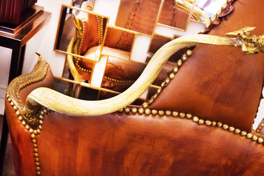 https://a.1stdibscdn.com/crocodile-brown-sofa-with-real-nile-crocodile-skin-and-natural-horns-for-sale-picture-10/f_14282/1528460480260/Canap_7126_master.jpg