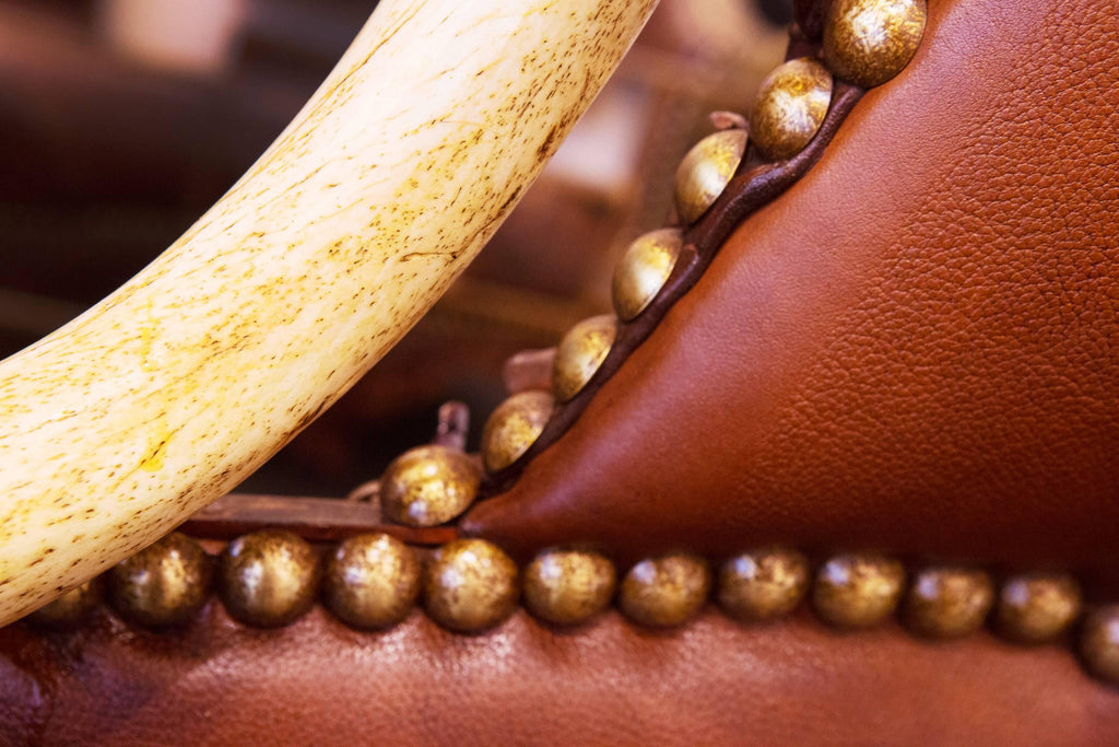 https://a.1stdibscdn.com/crocodile-brown-sofa-with-real-nile-crocodile-skin-and-natural-horns-for-sale-picture-11/f_14282/1528460465856/Canap_7130_master.jpg