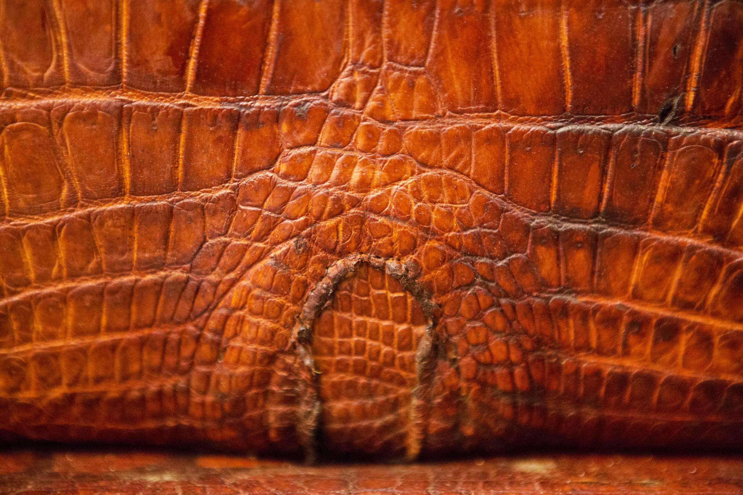 https://a.1stdibscdn.com/crocodile-brown-sofa-with-real-nile-crocodile-skin-and-natural-horns-for-sale-picture-14/f_14282/1528460476506/Canap_7157_master.jpg