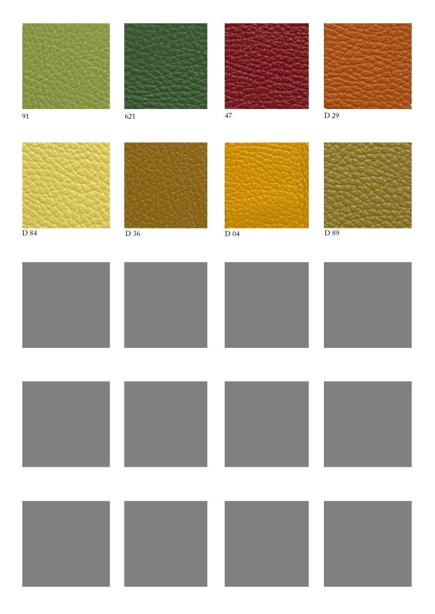 https://a.1stdibscdn.com/samples-of-leather-materials-for-upholstery-for-sale-picture-6/f_52352/f_459219621752835837036/Cartella_colori_Pelle_RENNA_Cat_P1_senza_nome_page_0003_master.jpg