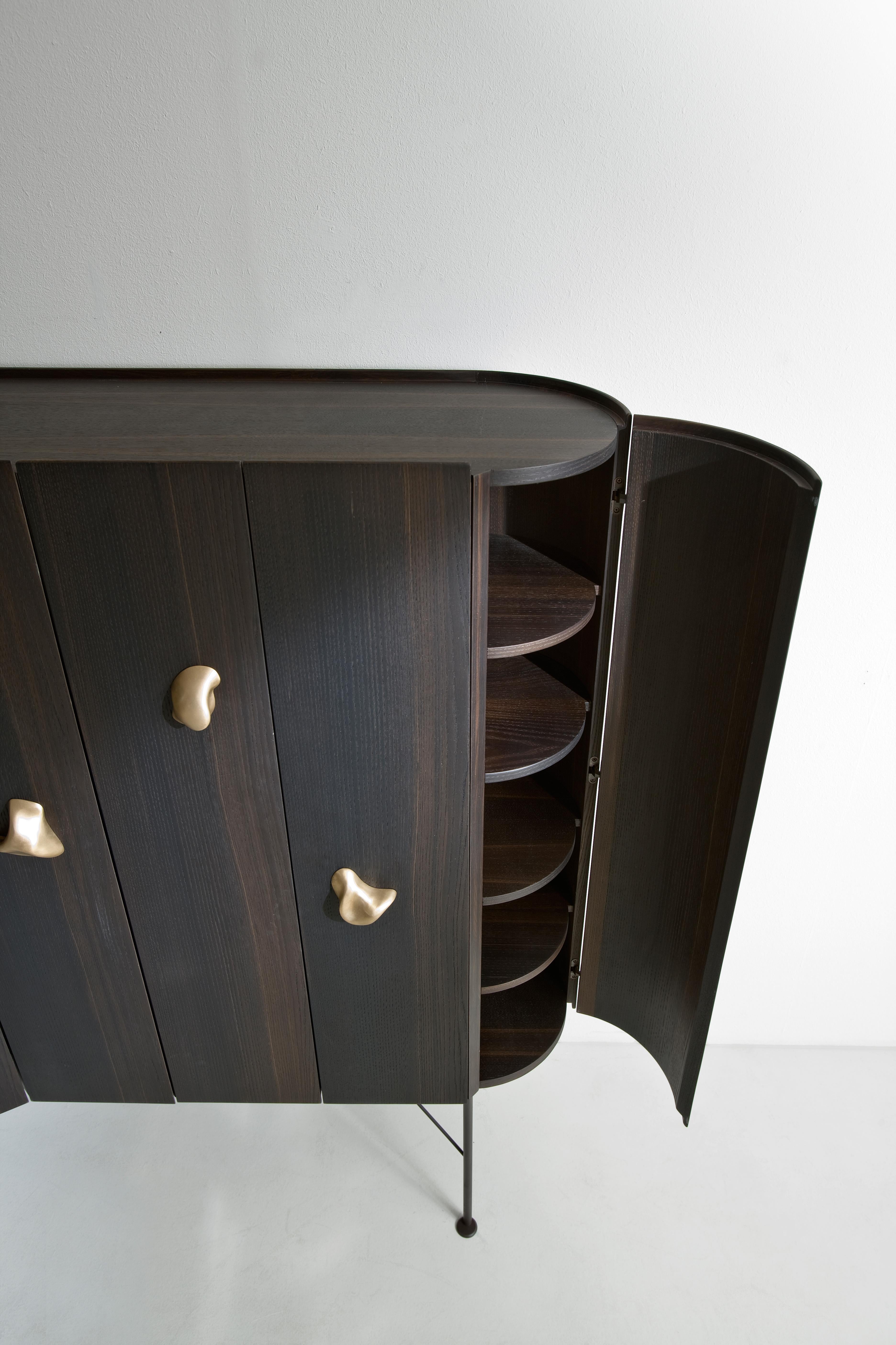 https://a.1stdibscdn.com/laurameroni-modern-cabinet-collectionist-with-sesel-brass-handles-for-sale-picture-4/f_52792/f_332793021678785543489/Collectionist_Sideboard_ArtCollection_Laurameroni_00012_master.jpg