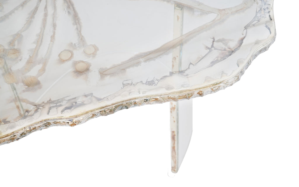 https://a.1stdibscdn.com/flower-contemporary-cocktail-silvered-flowers-crystal-glass-top-plexy-legs-for-sale-picture-5/f_16022/f_283971021650965670231/DSC02498_copia_master.jpg