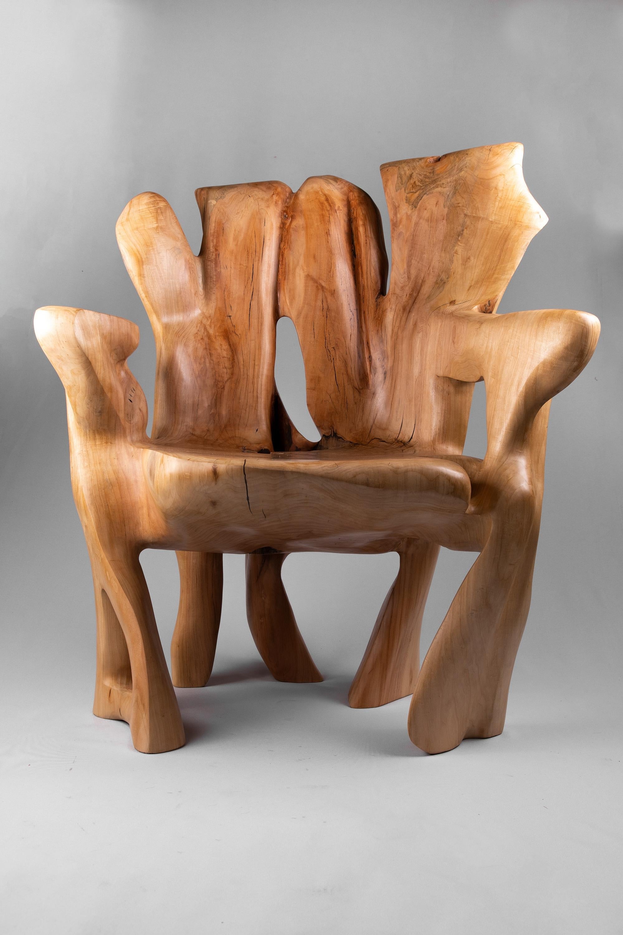 https://a.1stdibscdn.com/veles-wooden-armchar-carved-from-single-piece-of-wood-for-sale-picture-2/f_80402/f_365202121696834368155/_DSC9064_1_master.jpg