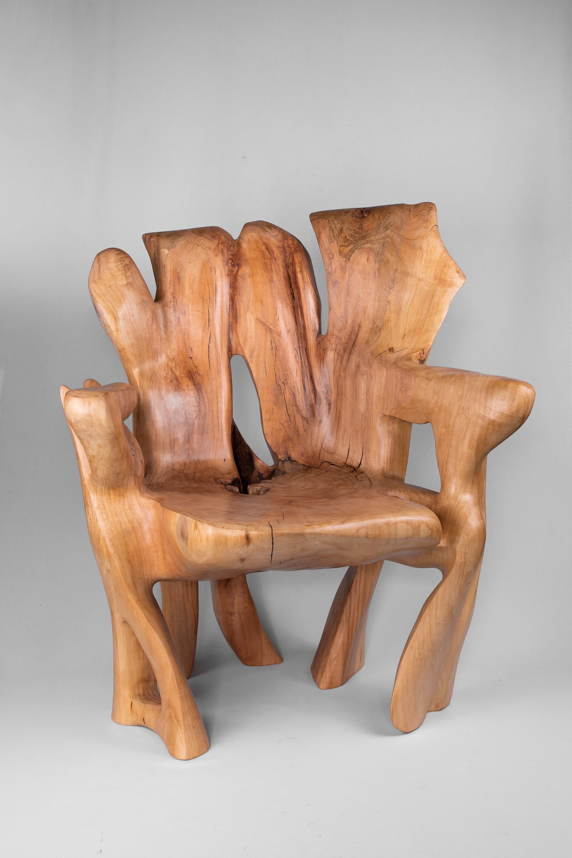 https://a.1stdibscdn.com/veles-wooden-armchar-carved-from-single-piece-of-wood-for-sale-picture-3/f_80402/f_365202121696834368112/_DSC9070_1_master.jpg