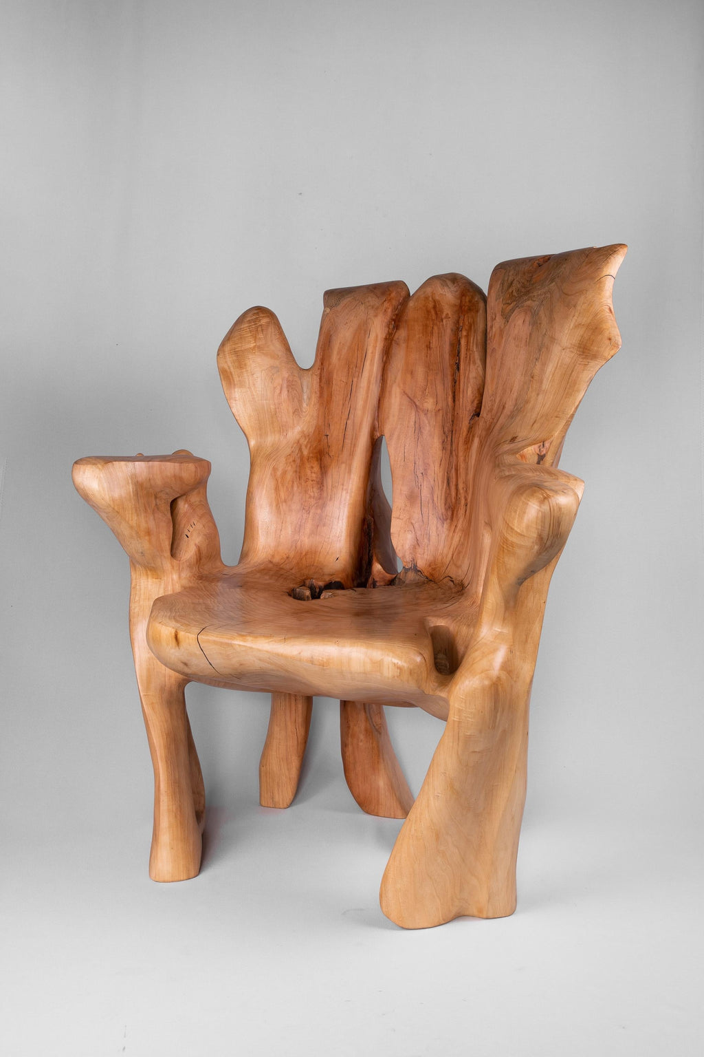 https://a.1stdibscdn.com/veles-wooden-armchar-carved-from-single-piece-of-wood-for-sale-picture-4/f_80402/f_365202121696834367921/_DSC9071_1_master.jpg