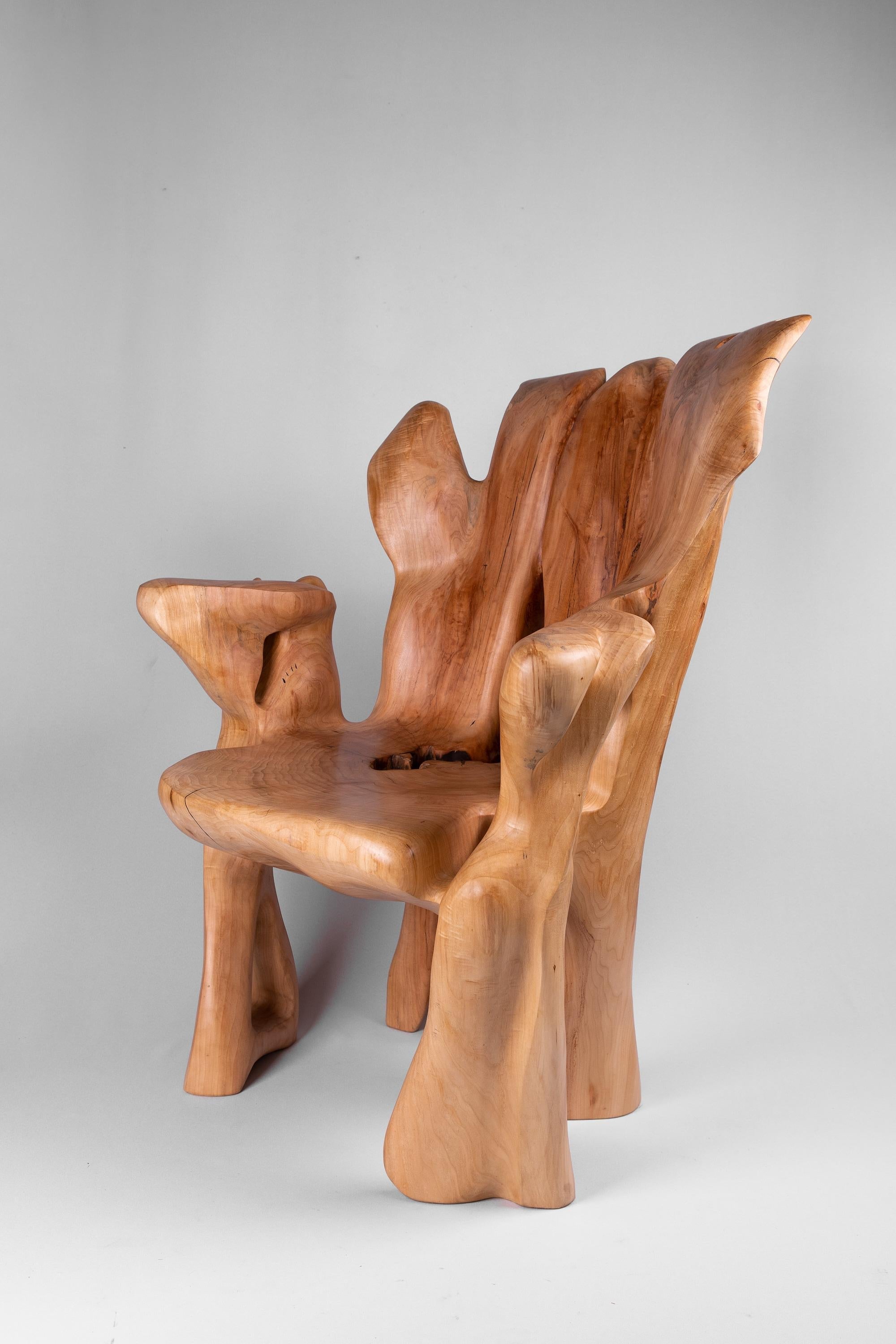 https://a.1stdibscdn.com/veles-wooden-armchar-carved-from-single-piece-of-wood-for-sale-picture-5/f_80402/f_365202121696834367977/_DSC9079_1_master.jpg