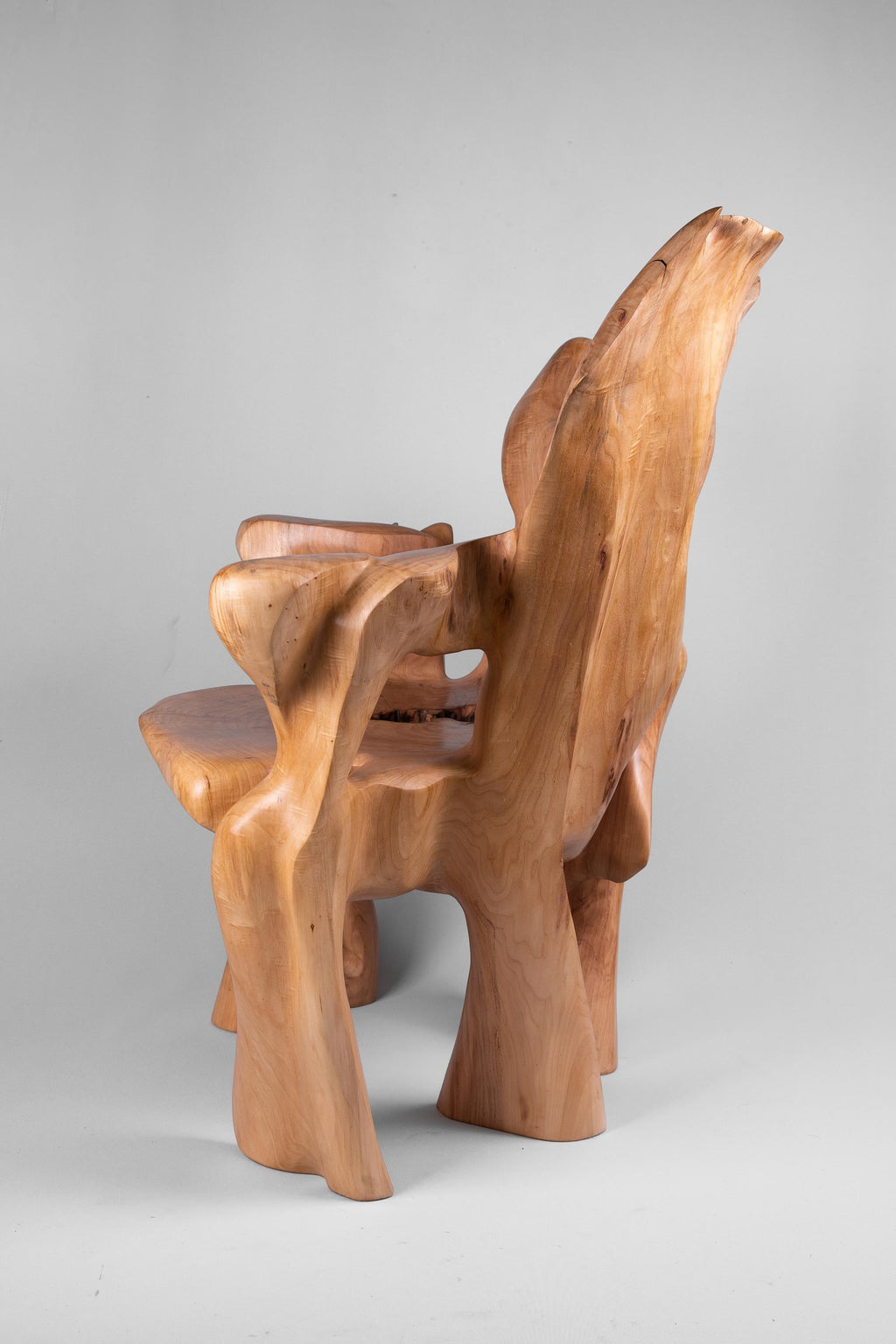 https://a.1stdibscdn.com/veles-wooden-armchar-carved-from-single-piece-of-wood-for-sale-picture-6/f_80402/f_365202121696834367589/_DSC9084_1_master.jpg