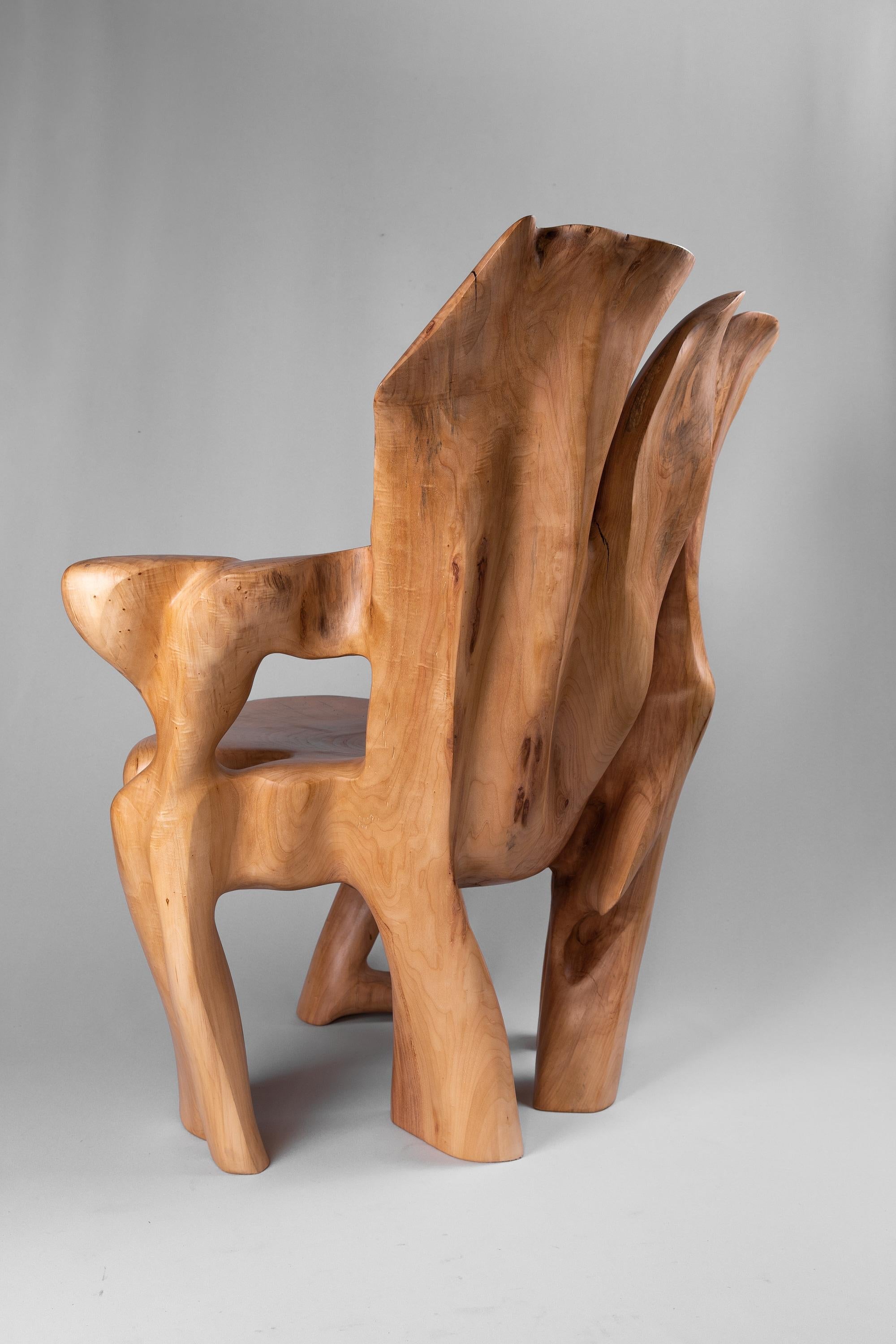 https://a.1stdibscdn.com/veles-wooden-armchar-carved-from-single-piece-of-wood-for-sale-picture-7/f_80402/f_365202121696834367846/_DSC9086_1_master.jpg