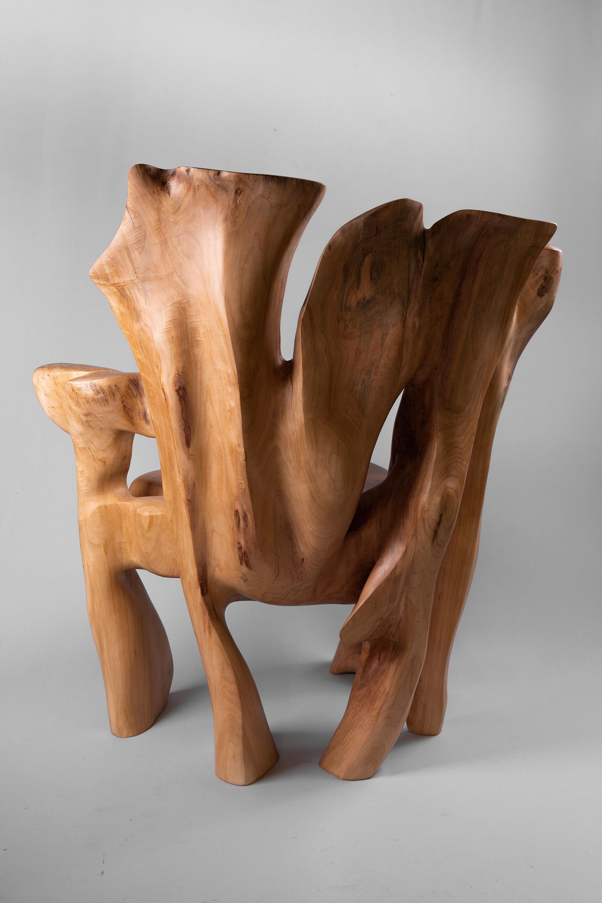https://a.1stdibscdn.com/veles-wooden-armchar-carved-from-single-piece-of-wood-for-sale-picture-8/f_80402/f_365202121696834371097/_DSC9092_1_master.jpg