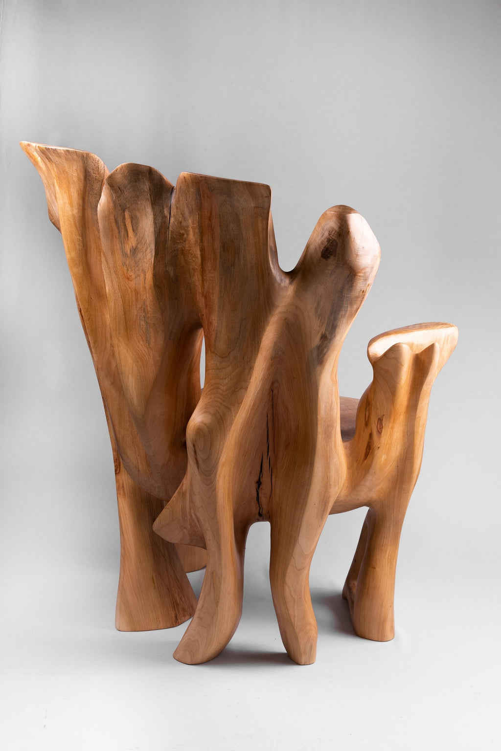 https://a.1stdibscdn.com/veles-wooden-armchar-carved-from-single-piece-of-wood-for-sale-picture-9/f_80402/f_365202121696834370977/_DSC9096_1_master.jpg