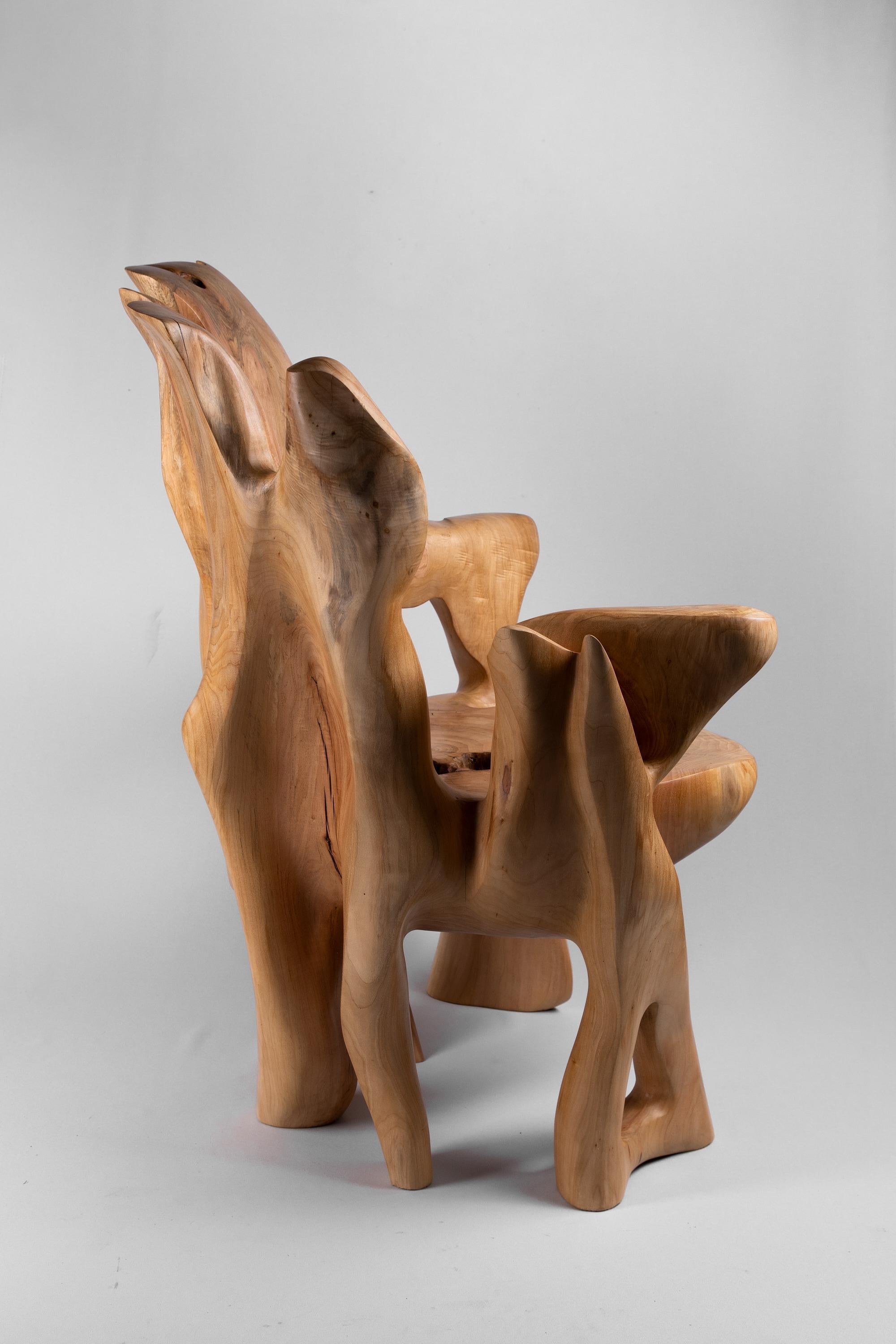 https://a.1stdibscdn.com/veles-wooden-armchar-carved-from-single-piece-of-wood-for-sale-picture-10/f_80402/f_365202121696834371100/_DSC9105_1_master.jpg