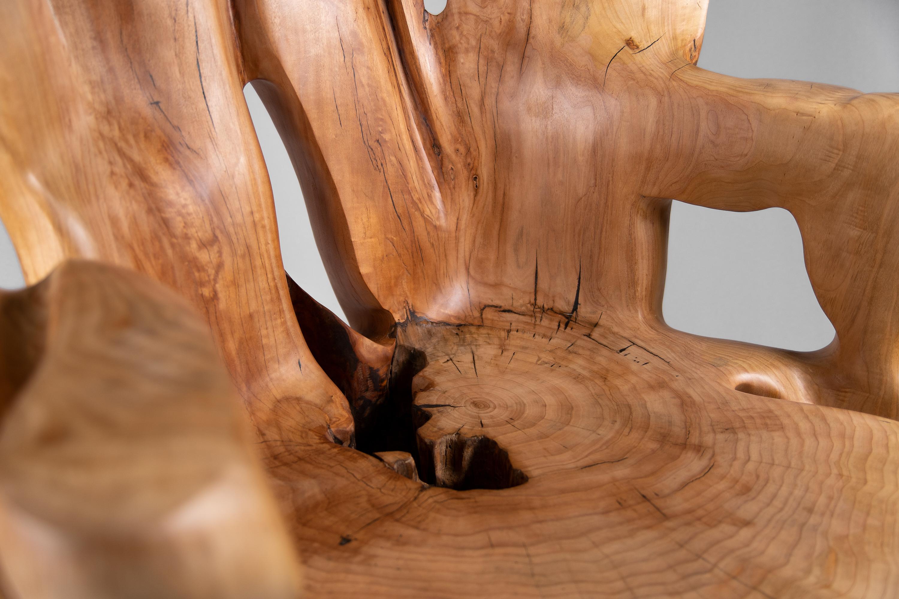 https://a.1stdibscdn.com/veles-wooden-armchar-carved-from-single-piece-of-wood-for-sale-picture-15/f_80402/f_365202121696834373058/_DSC9122_1_master.jpg