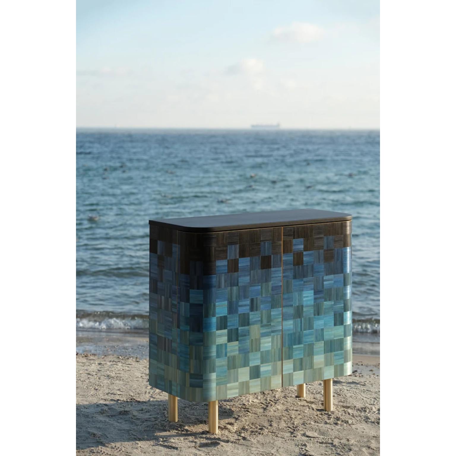 https://a.1stdibscdn.com/black-sea-natura-cabinet-by-ruda-studio-for-sale-picture-2/f_12192/f_377520321704122461208/DSCF2801_Edit_master.jpg