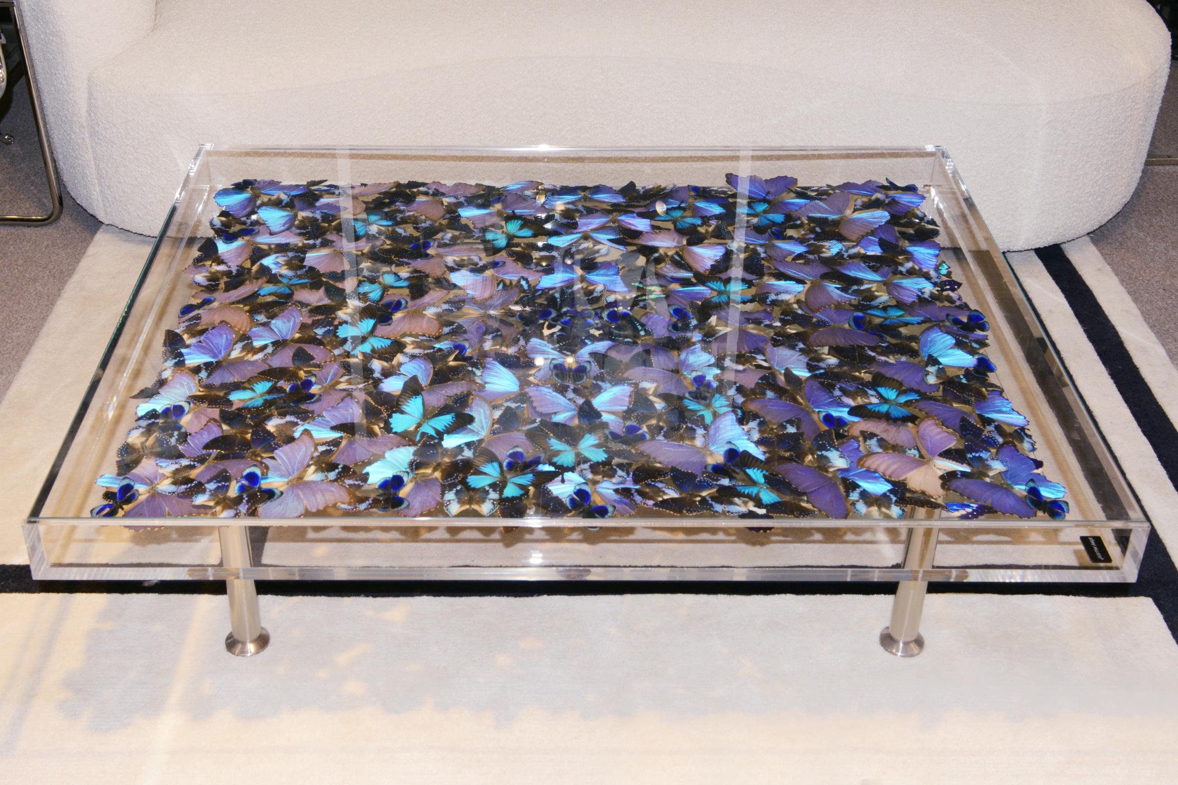 https://a.1stdibscdn.com/blue-butterflies-coffee-table-for-sale-picture-2/f_14282/f_323704021674483401457/DSC_0132_master.JPG