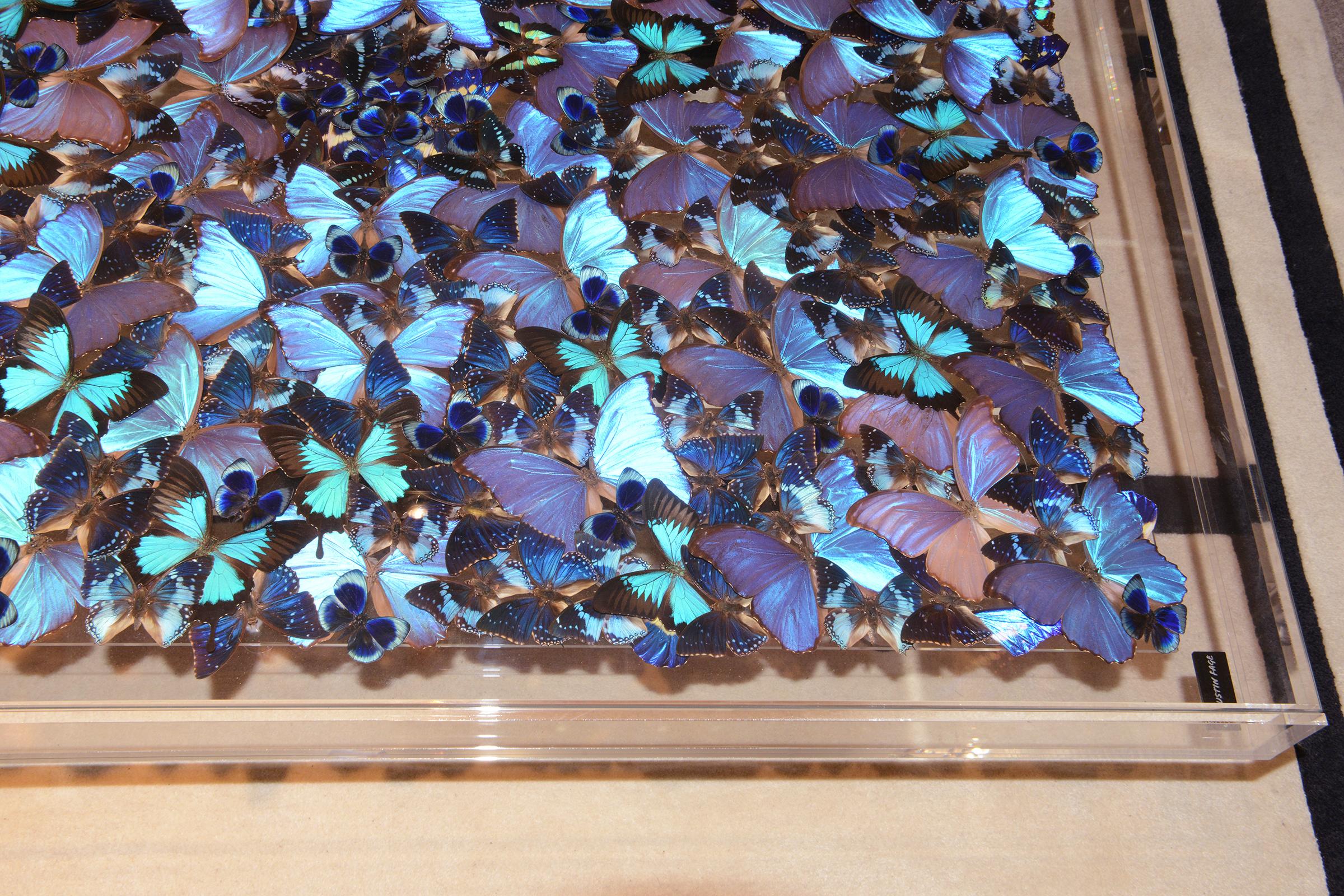 https://a.1stdibscdn.com/blue-butterflies-coffee-table-for-sale-picture-5/f_14282/f_323704021674483401841/DSC_0135_master.JPG