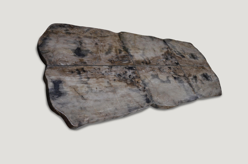 https://a.1stdibscdn.com/andrianna-shamaris-petrified-wood-table-for-sale-picture-8/f_10806/1540062914957/DSC_0521_master.jpg